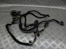 CITROEN C4 II B7 WIAZKA INSTALACJA DRZWI PRZOD LEW
