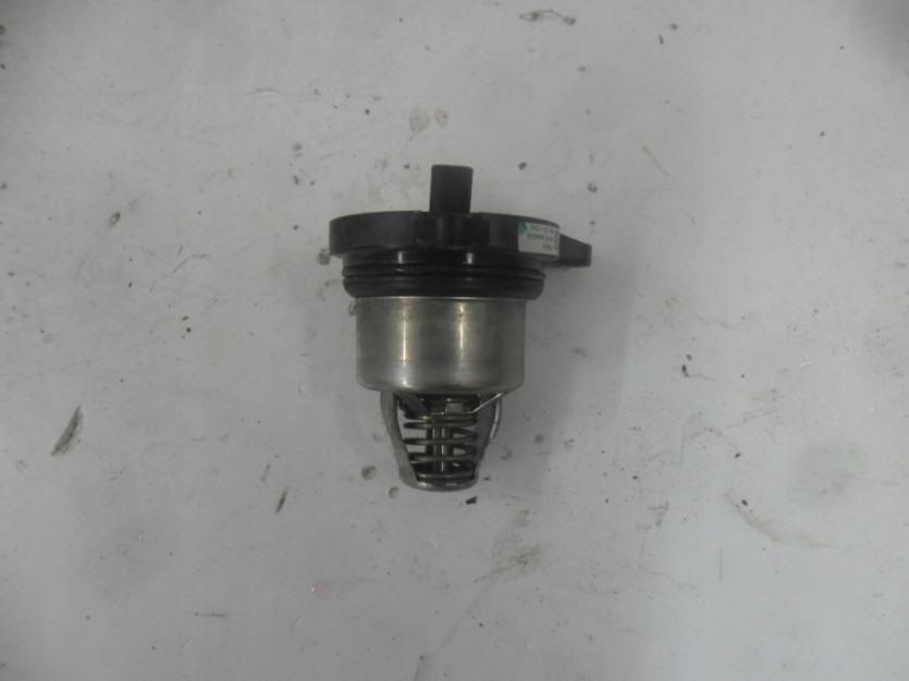 AUDI A5 S5 8W F5 TERMOSTAT 06M121115G