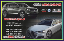 AUDI A8 S8 4N D5 2019 RSQ8 SQ8 PODUSZKA SILN LEWA