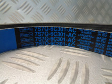 FORD PASEK KLINOWY WIELOROWKOWY 7S7Q-6C301-AC