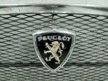 PEUGEOT 403 1955–1966 GRILL ATRAPA CHROM