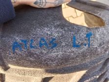 VW ATLAS CROSS 2021 NADKOLE LEWY TYŁ LEWE TYLNE