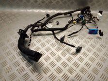 VW TIGUAN II 2023 2.0 TDI WIĄZKA INSTALACJA DRZWI PRAWY PRZÓD 5NN971162