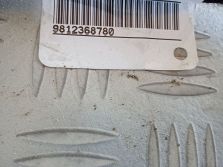PEUGEOT EXPERT IV 2.0 HDI WIĄZKA KABEL ALARMU 9812368780