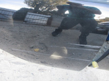 SMART FORFOUR 2004 R. DRZWI prawy TYŁ