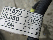 HYUNDAI I30 WIĄZKA PASA PRZEDNIEGO 918702L050