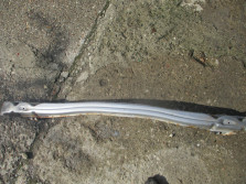 SUBARU JUSTY G3X IGNIS 1.5 BELKA POD ZDERZAK TYŁ