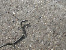 CHEVROLET AVEO T300 1.4 PRZEWÓD WSPOMAGANIA