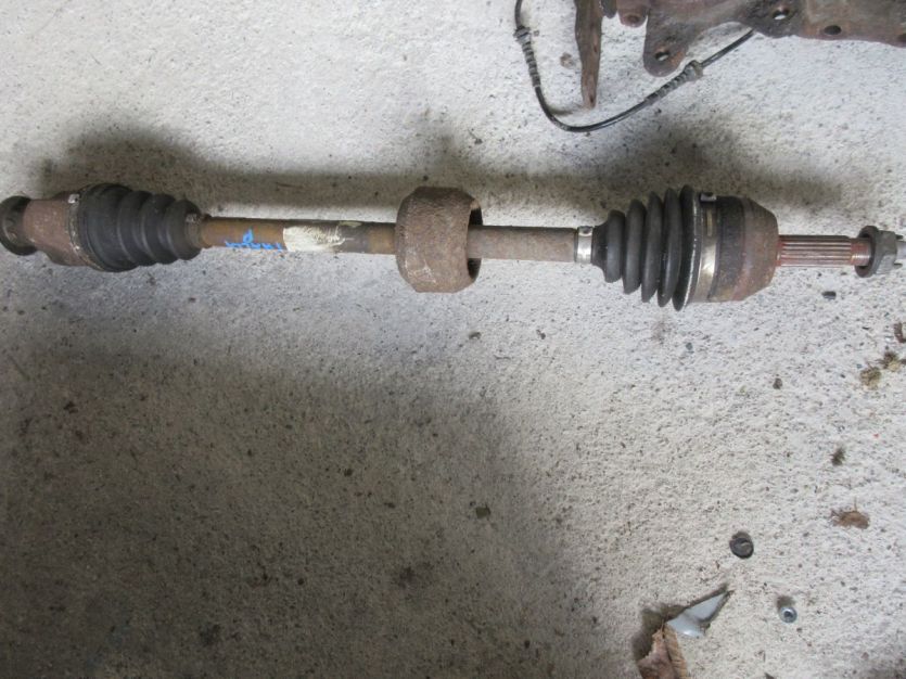 THALIA II 1.2 PÓŁOS PRAWA