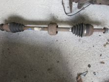 THALIA II 1.2 PÓŁOS PRAWA