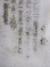 THALIA II 2012 R. ZBIORNICZEK SPRYSKIWACZY