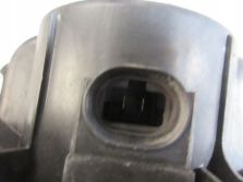 THALIA II 2012 R. DMUCHAWA