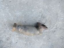 JEEP WRANGLER JL SAHARA 4D 2.2 D 2018+ RURKA EGR