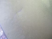 SUZUKI SX4 S-CROSS 13 - 16 DRZWI PRAWY TYŁ ZUS