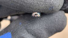 Lusterko LEWE BMW iX i20 2021- 16 PIN (9+6+1 PIN) KAMERA EUROPA ORYGINAŁ